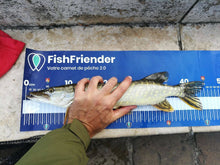 Toise Mesure de Pêche personnalisable - choisissez vos couleurs / logo